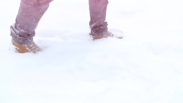 歩行足ブーツ スローモーション、山中、休日休暇の観光、冬の散歩で冬の風景の上に雪が降る — ストック動画