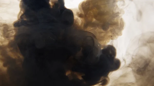 흑백 의 잉크 가희 고격리 된 배경에서 느린 동작으로 물에 혼합 된다. 물 속에서 휘몰아치는 먹구름. 추상적 인 연기 폭발 — 스톡 사진