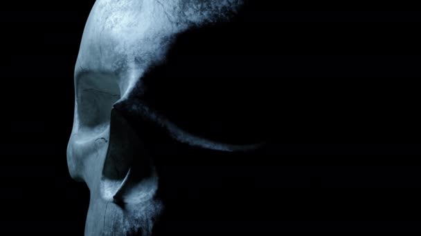 Menschlicher Schädel auf einem isolierten schwarzen Hintergrund. Textur rissigen Skelettknochen aus nächster Nähe. das Licht geht an und aus. 3D-Darstellung — Stockvideo