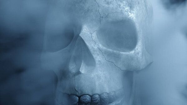 Textured skeleton skull in smoke, The concept of horror. 3d illustration