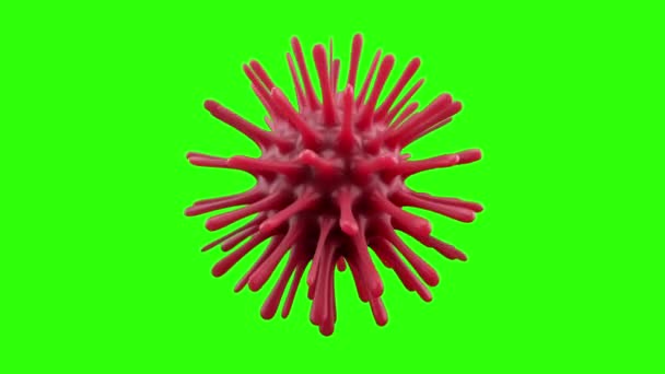 Una bacteria mortal del coronavirus bajo un microscopio. Brote patógeno de bacteria y virus, enfermedad que causa microorganismos como el Coronavirus. Lazo inconsútil 3d render. Pantalla verde — Vídeos de Stock