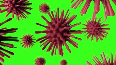 A deadly coronavirus bacterium under a microscope. Pathogen outbreak of bacterium and virus, disease causing microorganisms like the Coronavirus. Seamless loop 3d render. Green screen