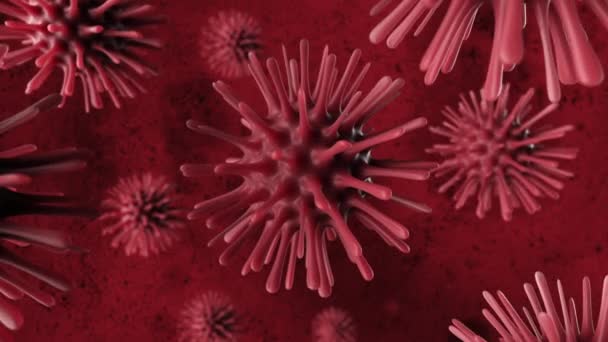 A deadly coronavirus bacterium under a microscope. Pathogen outbreak of bacterium and virus, disease causing microorganisms like the Coronavirus. Seamless loop 3d render — Stockvideo