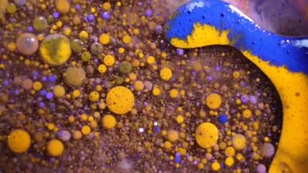 Peintures pétillantes colorées se mélangent dans de beaux motifs. L'encre à l'huile de bleu et d'autres couleurs se répandent sur la surface et se mélangent pour créer des textures et un design étonnants . — Video