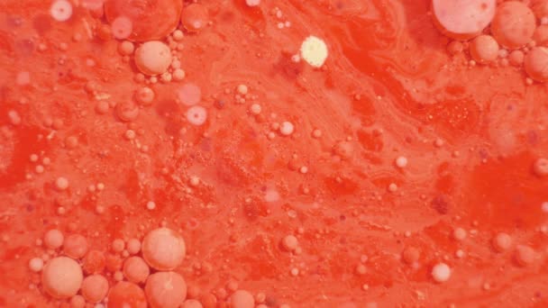 Colorful acrylic paints mix in beautiful patterns. Oil Inks of coral, orange, red and other colors spread over the surface and mix, creating amazing textures and design. Abstract bubbles — Stock Video