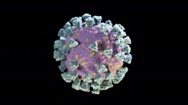 Koronavirüs hücresinin siyah izole bir arka planda dönüşü. Araştırmalar için gerçekçi bir 3D canlandırma. Virüs hareketi geçmişi - salgın COVID-19. Kusursuz döngü
