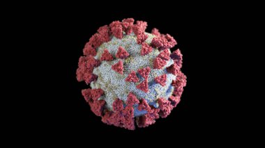 Coronavirus 3d Illustration siyah izole edilmiş bir arka planda salgın virüsünün yapısını gösteriyor