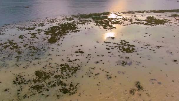 Phi Phi Islands Panorama, province de Krabi, Thaïlande Thaï. Coucher de soleil spectaculaire sur la mer et les îles. Incroyable crépuscule sous les tropiques et l'océan Indien calme — Video