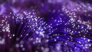 Fiber optik kablolar ve yanıp sönen sinyaller. Fiber optik kabloyla dijital veri iletimi. Bokeh renkli renkli optik iplik buketi. Teknoloji konsepti. Kusursuz 3D döngü oluşturucu