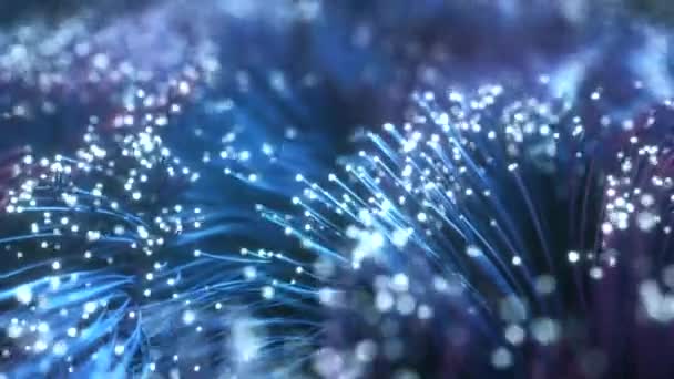 Fiber optic wires with flashing signals. Digital data transmission via fiber optic cable. Bouquet of colored optical fibers with bokeh. Technology concept. Seamless loop 3d render — Stock Video