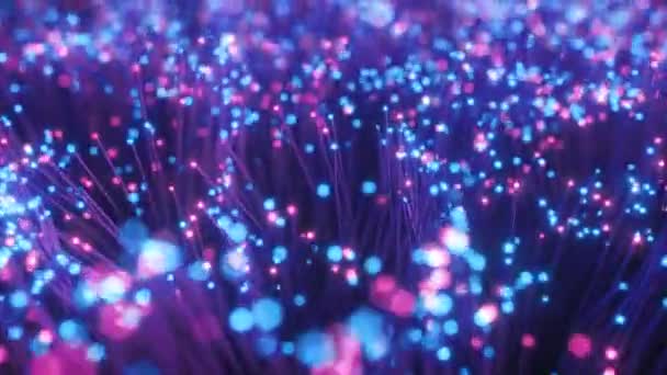 Fiber optic wires with flashing signals. Digital data transmission via fiber optic cable. Bouquet of colored optical fibers with bokeh. Technology concept. Seamless loop 3d render — Stock Video