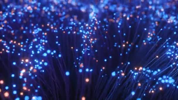 Fiber optic wires with flashing signals. Digital data transmission via fiber optic cable. Bouquet of colored optical fibers with bokeh. Technology concept. Seamless loop 3d render — Stock Video