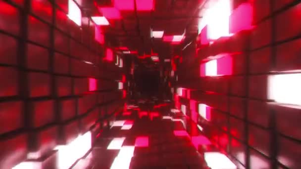 概要未来的な廊下、シームレスなループ4k背景、蛍光紫外光、輝くカラフルなネオンキューブ、幾何学的な無限のトンネル、青ピンクのスペクトル、 3Dレンダリングで飛ぶ — ストック動画