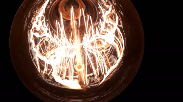 Glühbirne aus Filament — Stockvideo