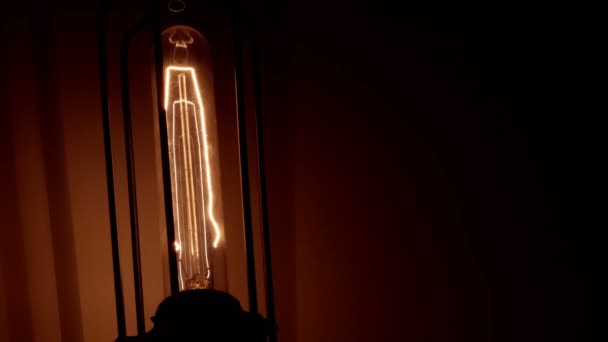 Vintage filament lamp — Stockvideo