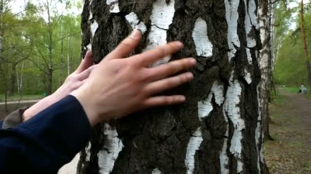 Chica y chico son acariciados por el tronco de un árbol — Vídeo de stock