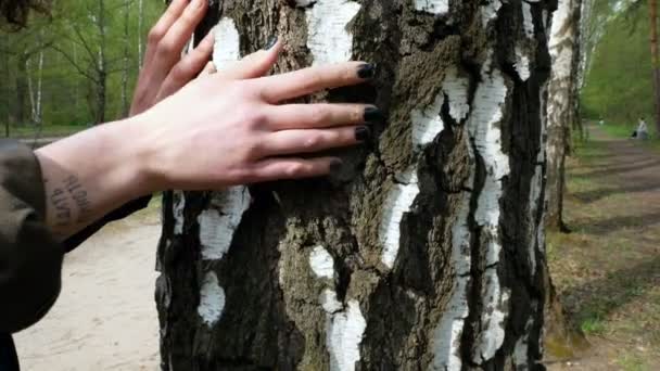 Chica y chico son acariciados por el tronco de un árbol — Vídeo de stock