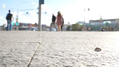 Kişi meşgul geçiş arası