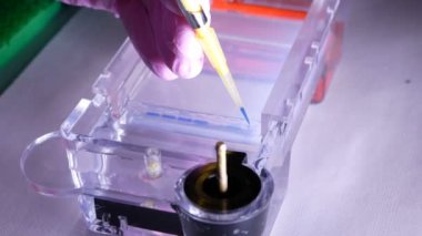 DNA'ın uygulamaya özel jel
