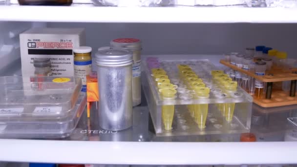 Innehållet i laboratoriet kylskåp — Stockvideo