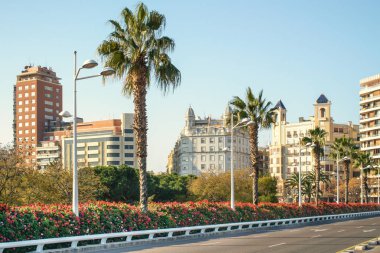 Çiçekler Köprüsü, Valencia, İspanya