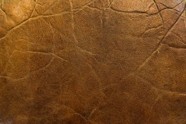 Kırmızı Deri doku arka plan makro