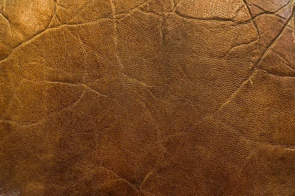Kırmızı Deri doku arka plan makro