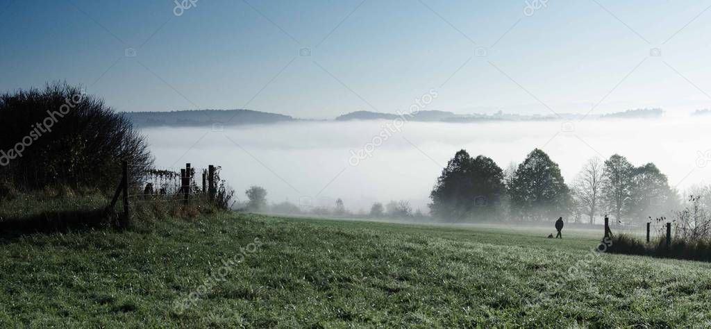 fog on meadow in the cold sunny morning