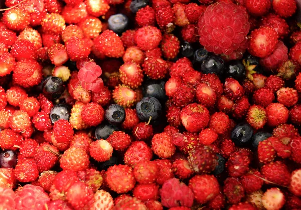 Full bowl of berries — Stock Photo, Image