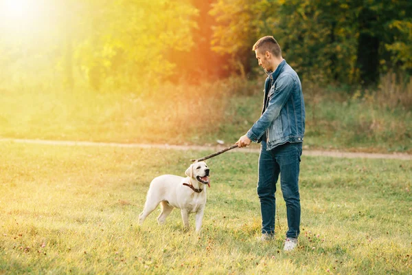 Mann amüsiert sich bei Sonnenuntergang mit seinem Hund Labrador im Park — Stockfoto