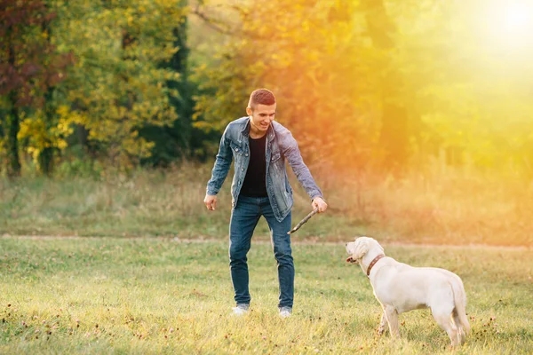 Mann spielt bei Sonnenuntergang mit seinem Hund Labrador im Park — Stockfoto