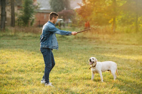 Chico lanza un palo a su perro Labrador en el parque — Foto de Stock