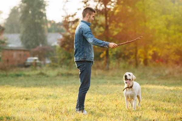 Hombre jugando con perro Labrador en parque al atardecer — Foto de Stock