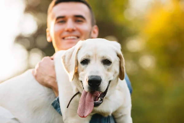 Chico sosteniendo a su amigo perro labrador y sonriendo al atardecer — Foto de Stock