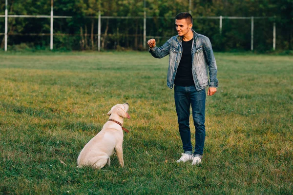 Hombre entrena a su perro Labrador en parque — Foto de Stock