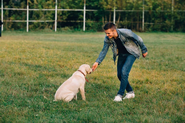 El hombre alimenta a su perro con bocadillos de labrador para la obediencia. Perro de entrenamiento en parque — Foto de Stock