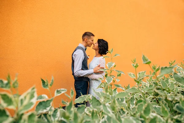 Heureux jeunes mariés embrassant sur fond de mur jaune le jour de leur mariage — Photo