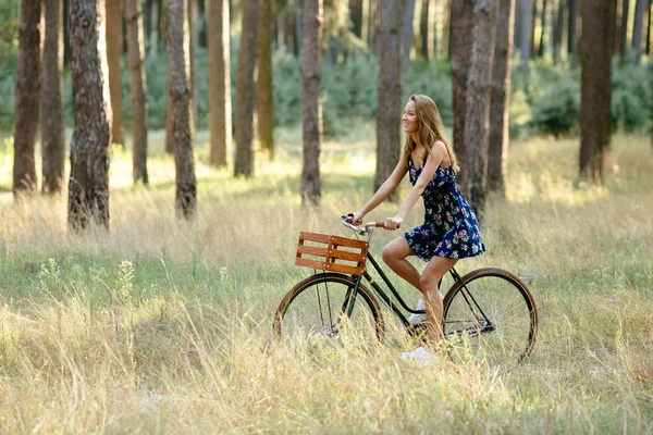 Κορίτσι βόλτες με ένα ποδήλατο με ένα καλάθι στο δάσος. — Φωτογραφία Αρχείου