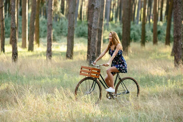 Chica monta una bicicleta con una cesta en el bosque . — Foto de Stock