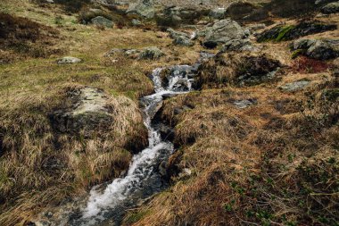 Dağ dere İsviçre Alpleri'nde kristal berraklığında su ile