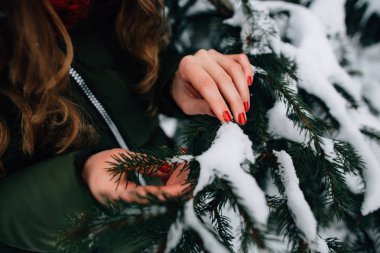 Kadının ellerini tutar karla kaplı ağaç dalı