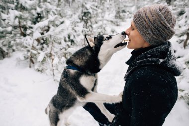 Adam onun Husky köpek bisküvi ağız ağız beslemeleri