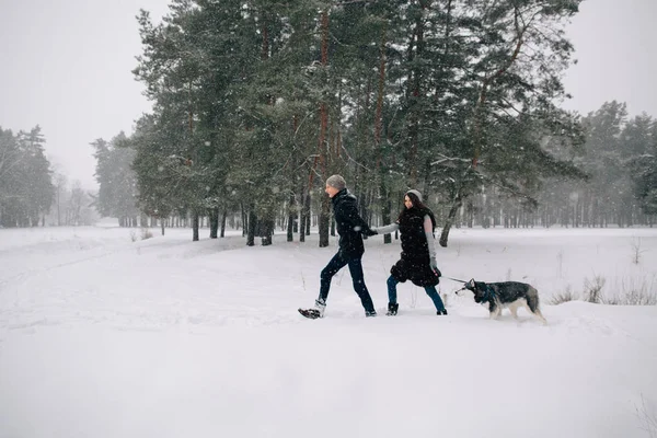 Couple amoureux marchant avec leur chien Husky — Photo