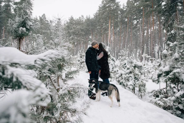 Beijar casal andando com o cão na floresta nevada — Fotografia de Stock