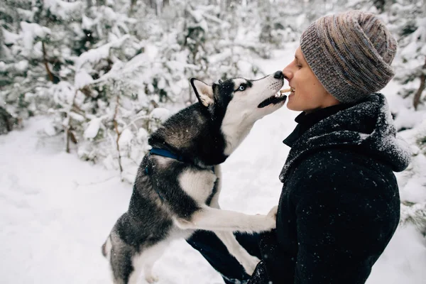 El hombre alimenta a su perro Husky galletas de boca a boca — Foto de Stock