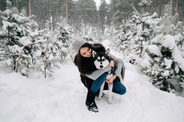 Chica acariciando Husky perro — Foto de Stock