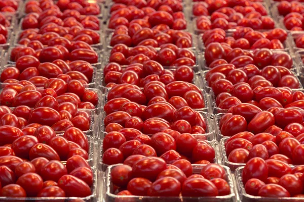 Tomat ceri untuk dijual di pasar Kanada — Stok Foto