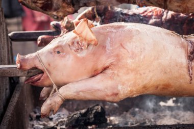 Kavrulmuş bir domuzun başı, genç bir domuz, Balkanlar 'da geleneksel bir Sırbistan ızgarası üzerinde, adı Pecenje. Domuz etleri geleneksel olarak Sırbistan 'ın kırsal kesimlerinde bu tür şişler üzerinde kızartılır.
