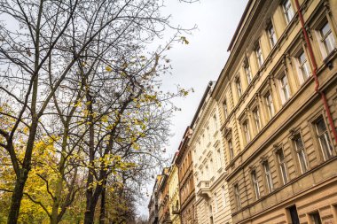 Sonbaharda tipik bir Zizkov caddesinde, bulutlu bir öğleden sonra geleneksel Austro Macar mimarisi ve konut binalarıyla cepheler