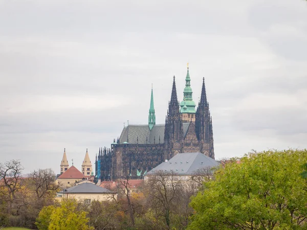 Cathédrale Vitus Sur Colline Hradcany Dans Château Prague Également Appelé — Photo